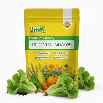Lettuce Seeds – Salad Bowl