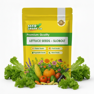Lettuce Seeds – Slobolt