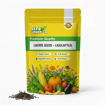 Liatris Seeds – Ligulistylis