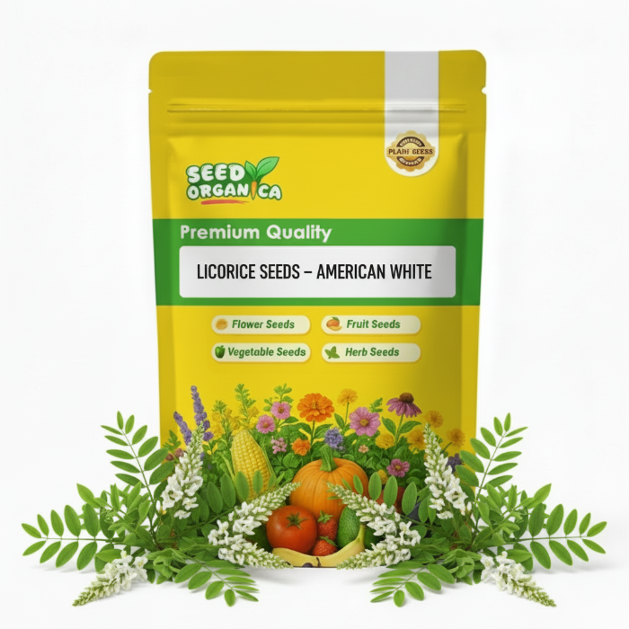 Licorice Seeds – American White