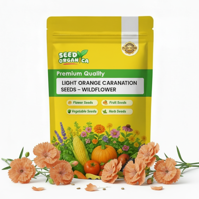 Light Orange Carnation Seeds –  Wildflower
