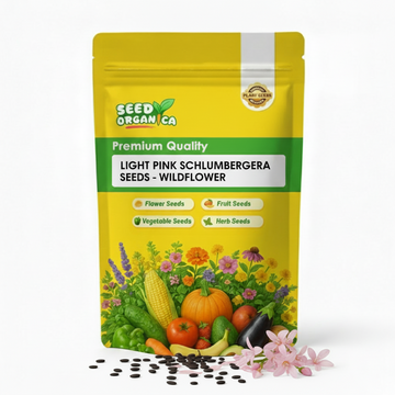 Light Pink Schlumbergera seeds - wildflower