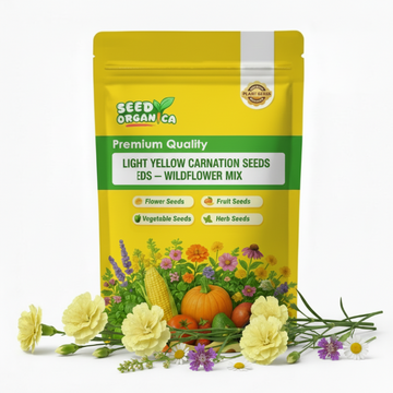 Light Yellow Carnation Seeds – Wildflower Mix