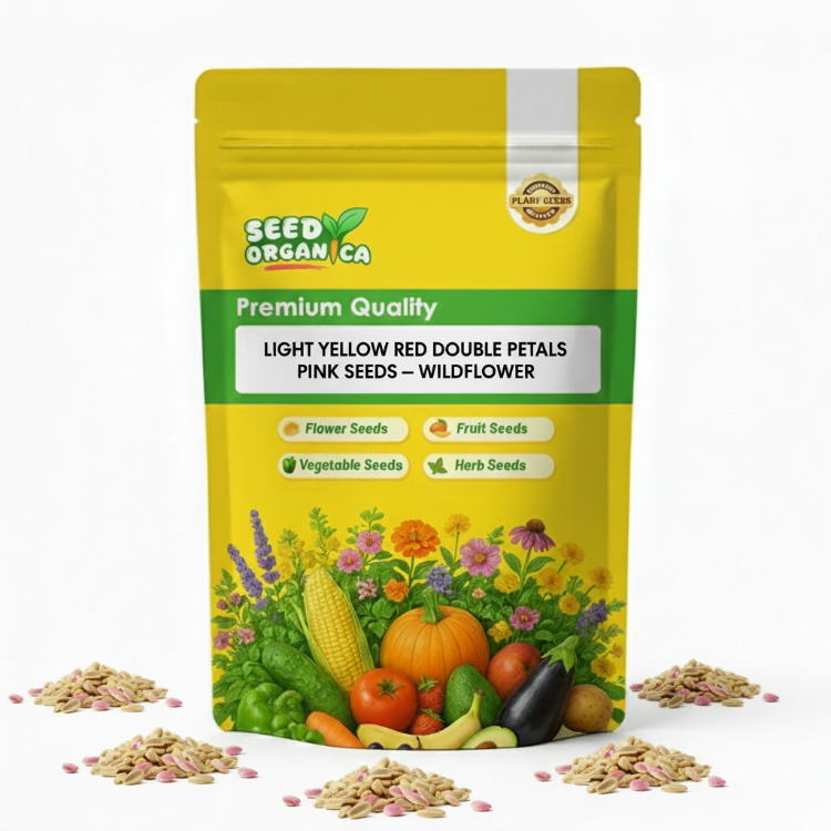 Light Yellow Red Double Petals Pink – Wildflower