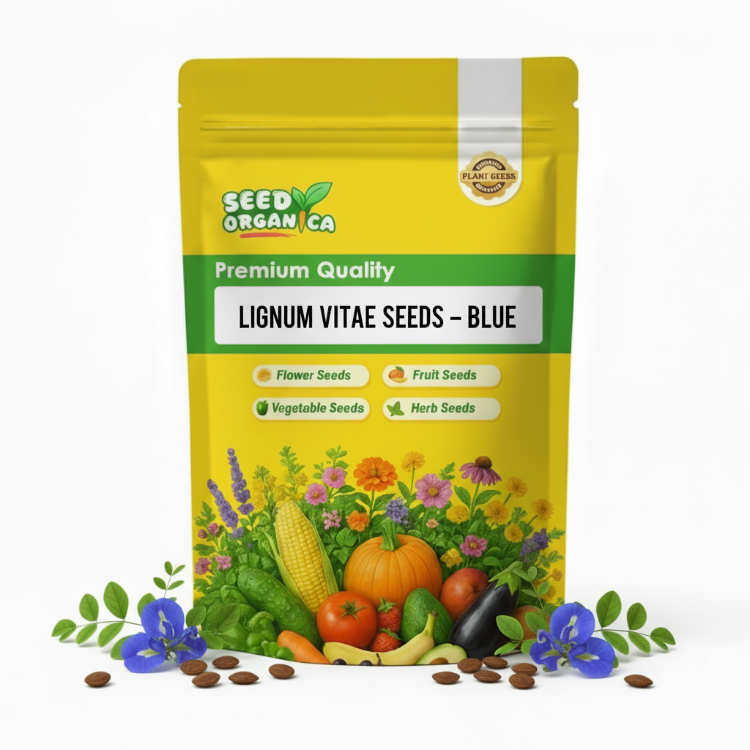 Lignum Vitae Seeds – Blue