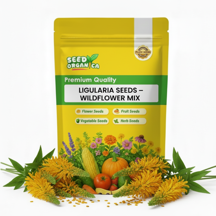 Ligularia Seeds – Wildflower Mix