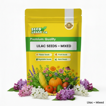 Lilac Seeds – Mixed