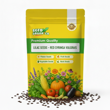 Lilac Seeds – Red Syringa Vulgaris