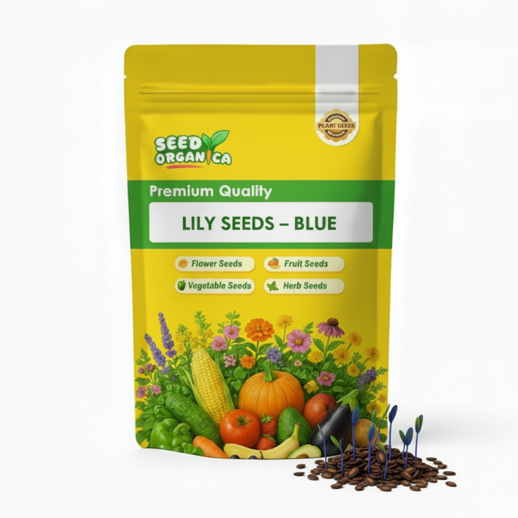 Lily Seeds – Blue