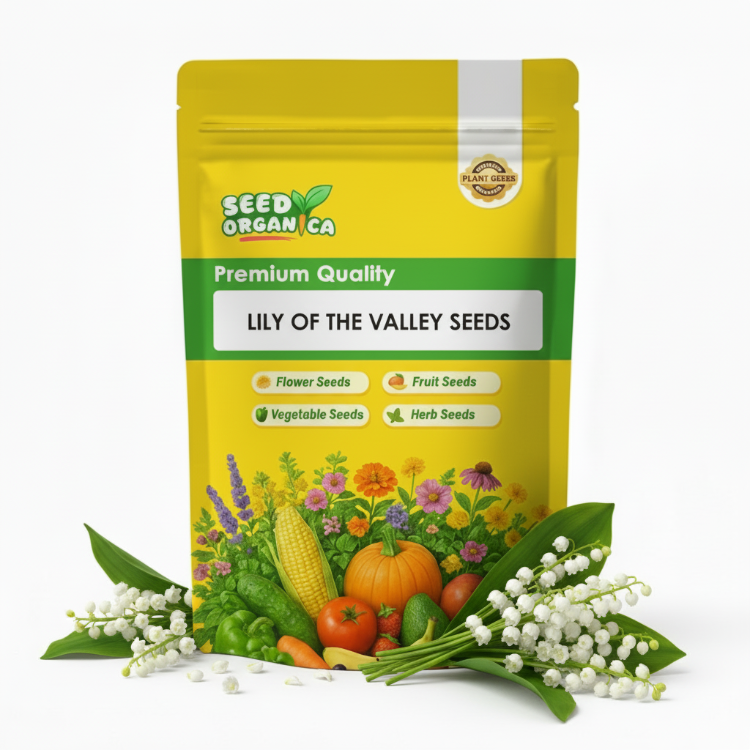 Lily of the Valley Seeds