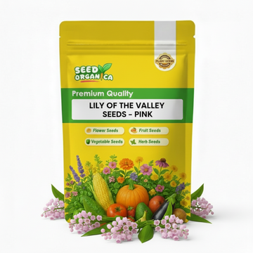 Lily of the Valley Seeds – Pink