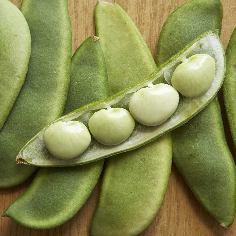 Lima Bean Seeds - Green