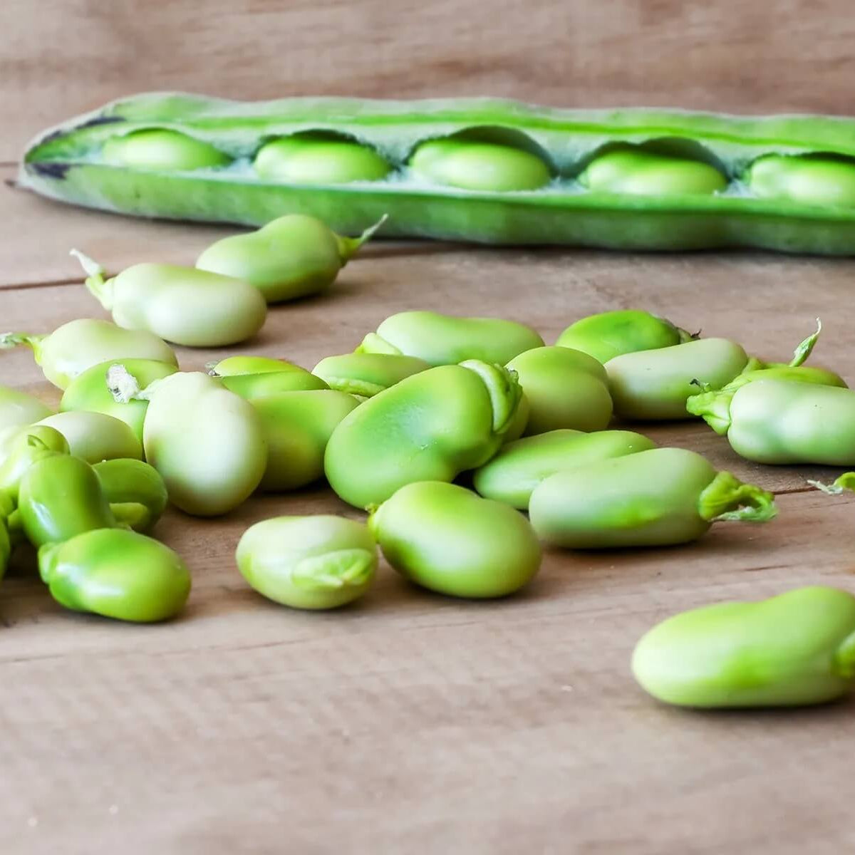 Lima Bean Seeds - Green