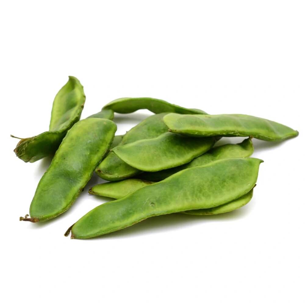 Lima Bean Seeds - Green