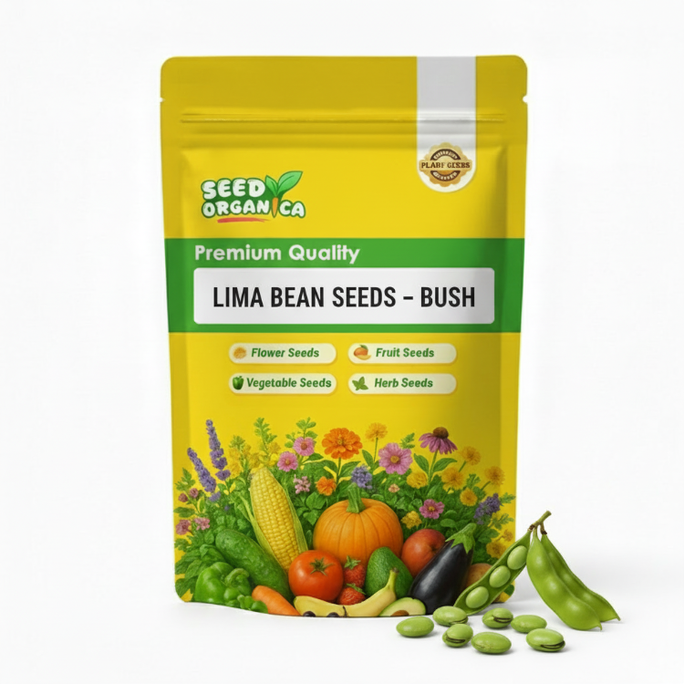 Lima Bean Seeds – Bush