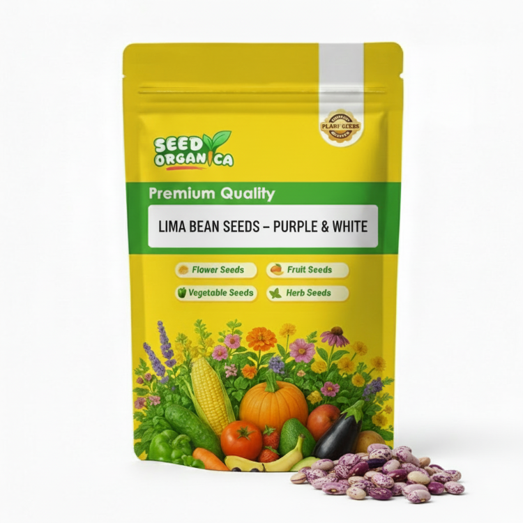 Lima Bean Seeds – Purple & White