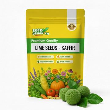 Lime Seeds – Kaffir