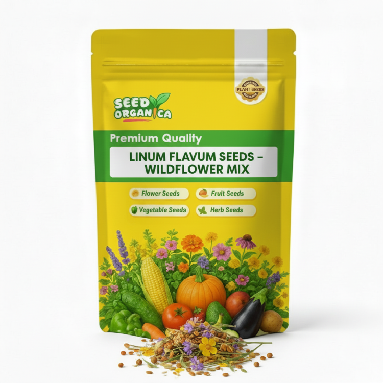 Linum Flavum Seeds – Wildflower Mix