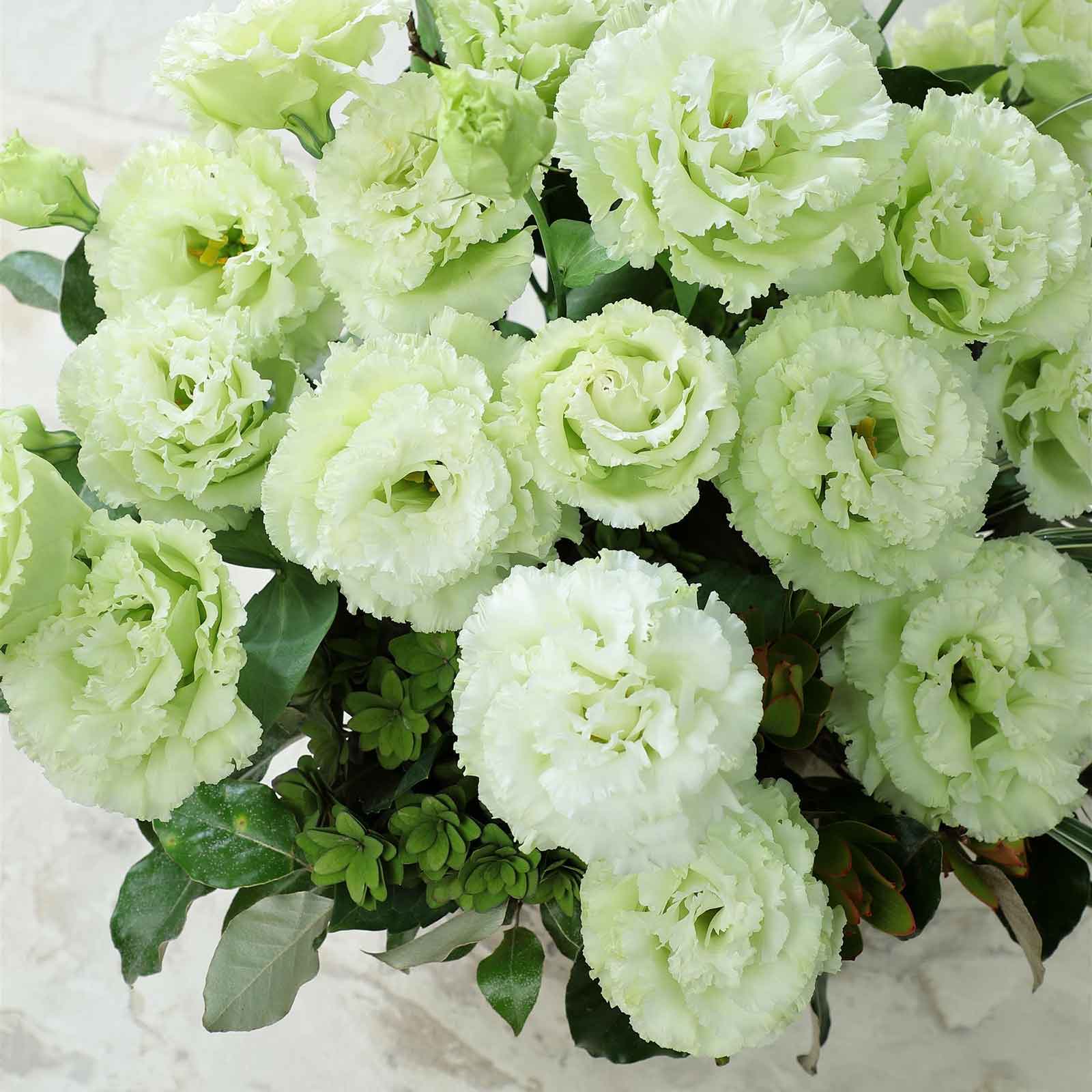 Lisianthus Seeds - All In One For Home Gardens