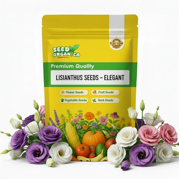 Lisianthus Seeds – Elegant