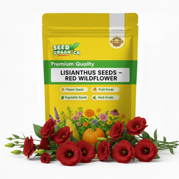 Lisianthus Seeds – Red Wildflower
