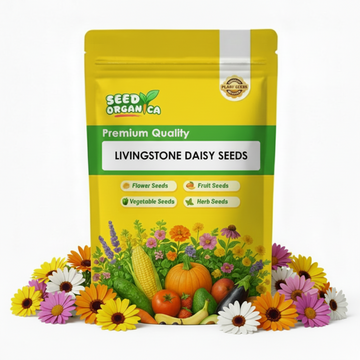 Livingstone Daisy Seeds
