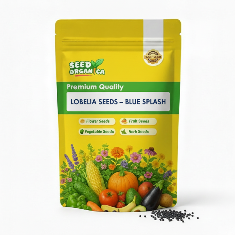 Lobelia Seeds – Blue Splash