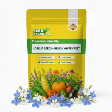 Lobelia Seeds – Blue & White Crest