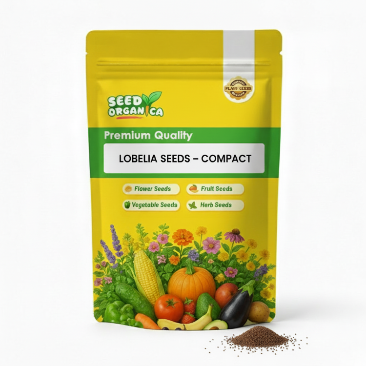 Lobelia Seeds – Compact