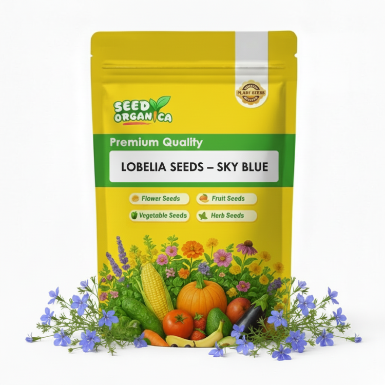 Lobelia Seeds – Sky Blue