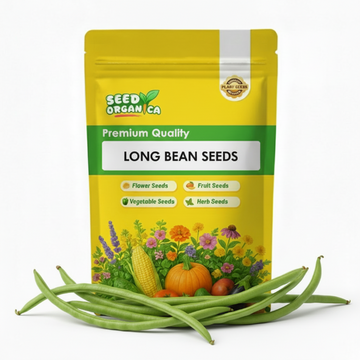 Long Bean Seeds