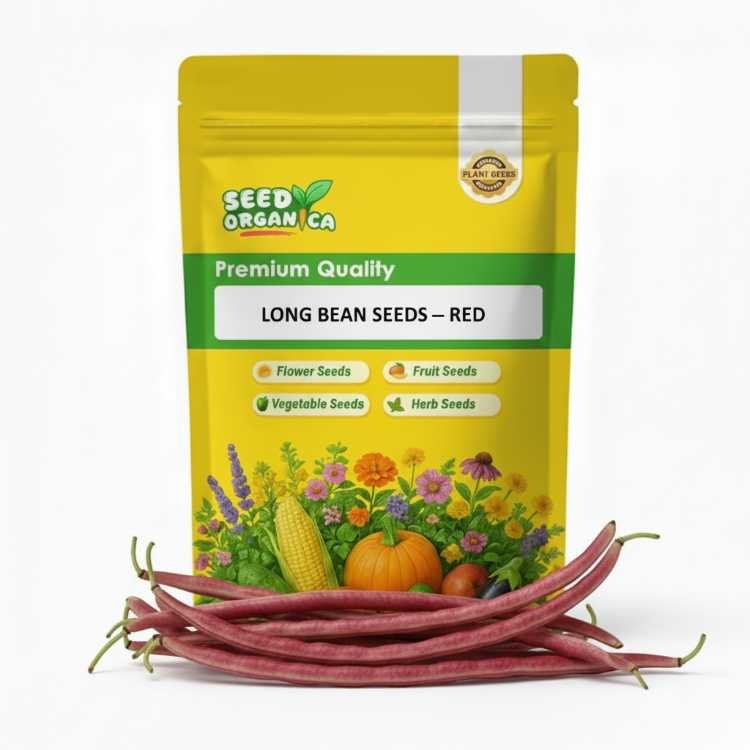 Long Bean Seeds – Red