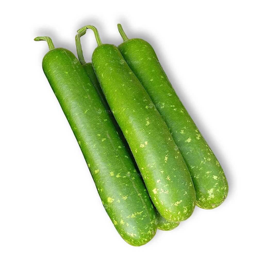 Long Bottle Gourd Seeds - Vegetable Plant