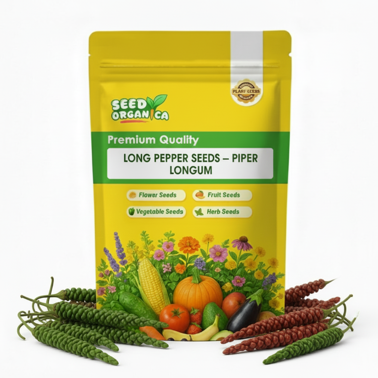 Piper Longum Long Pepper Seeds | Pepper Planting Seeds