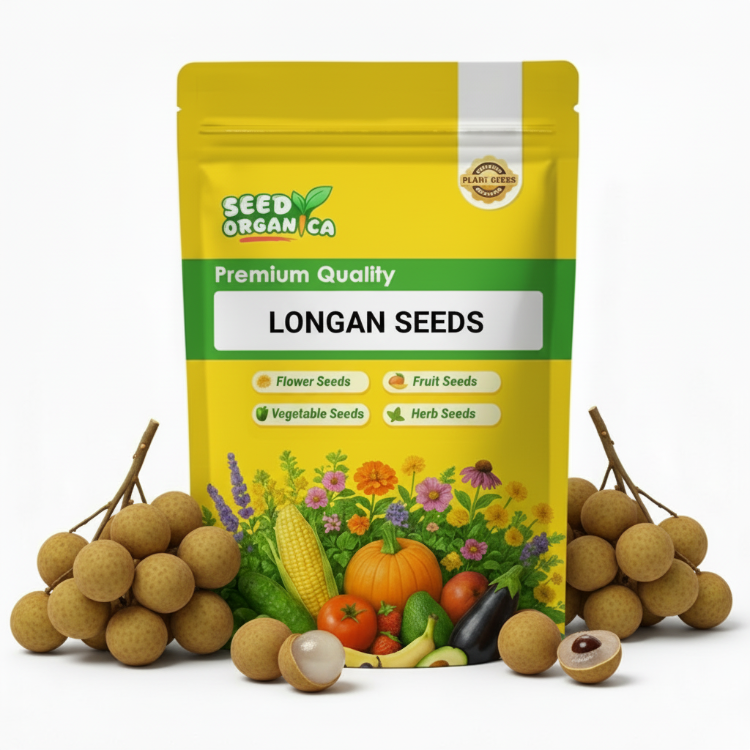 Longan Seeds