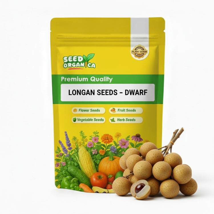 Longan Seeds – Dwarf