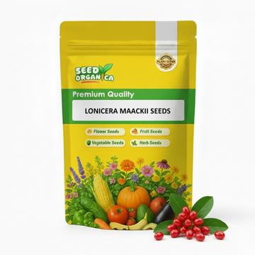 Lonicera Maackii Seeds