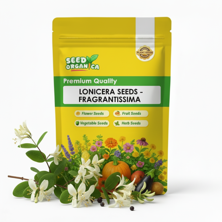 Lonicera Seeds – Fragrantissima