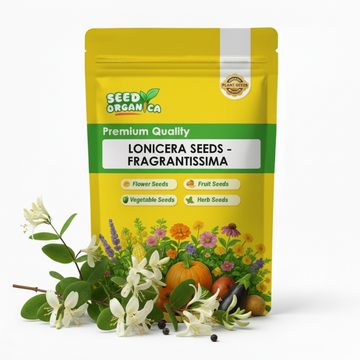 Lonicera Seeds – Fragrantissima