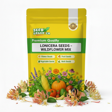 Lonicera Seeds – Wildflower Mix