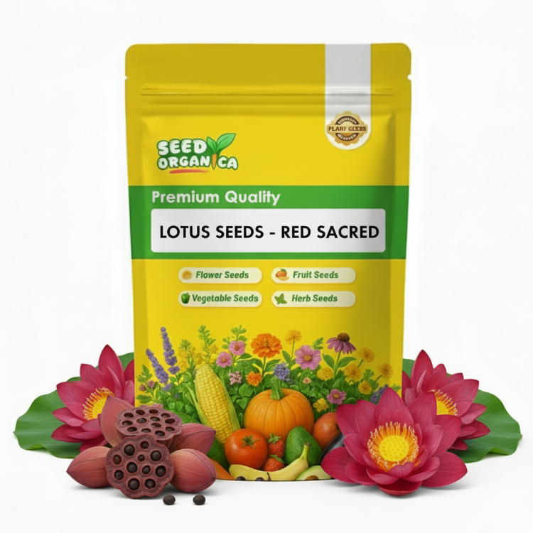 Lotus Seeds - Red Sacred
