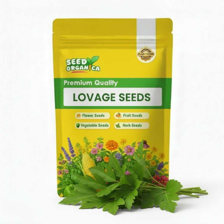 Lovage Seeds