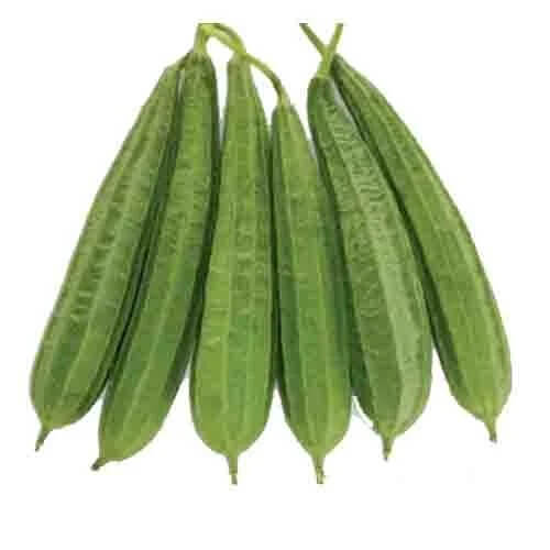 Luffa Seeds - Long