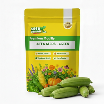 Luffa Seeds - Green