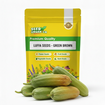 Luffa Seeds - Green Brown