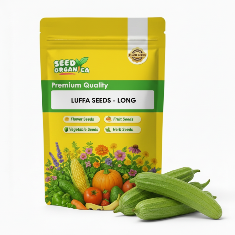 Luffa Seeds - Long