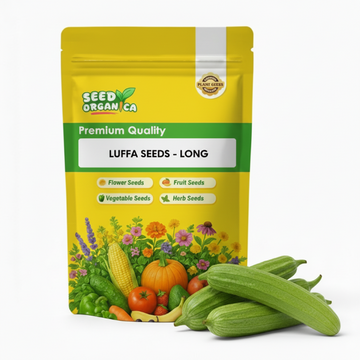 Luffa Seeds - Long
