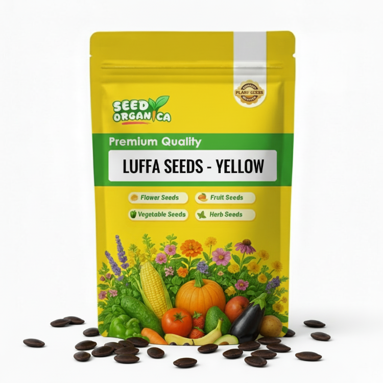 Luffa Seeds - Yellow