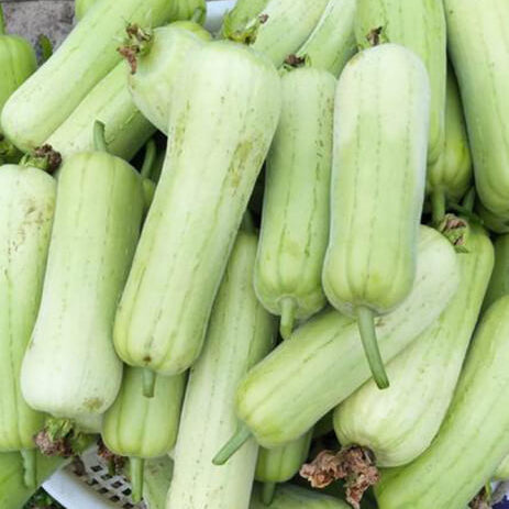 Luffa Seeds - White Green