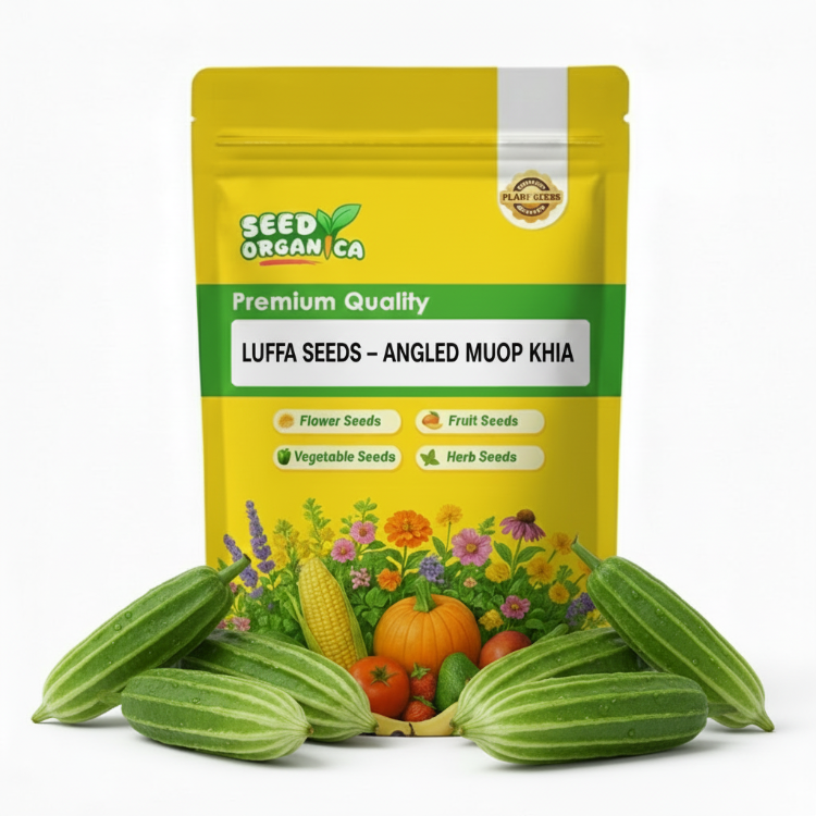 Angled Muop Khia Luffa Seeds | Climbing Gourd Garden Seeds